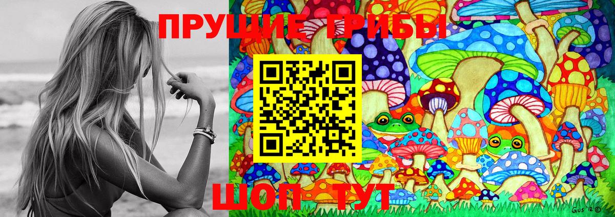 Камышин  Галлюциногенные грибы Psilocybe  Вход с VPN  Псилоцибиновые грибы MAGIC MUSHROOMS 