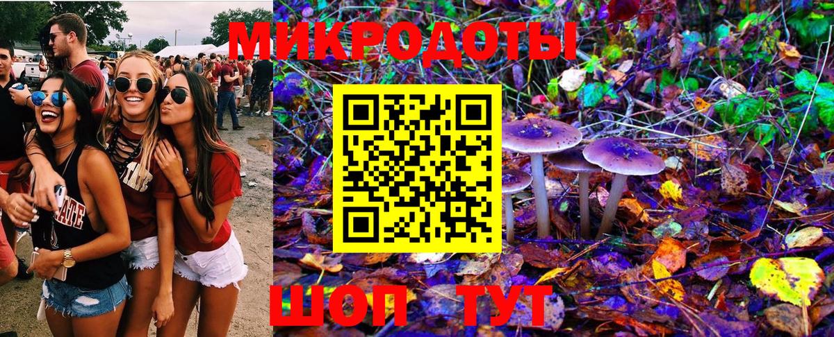 Галлюциногенные грибы MAGIC MUSHROOMS Камышин